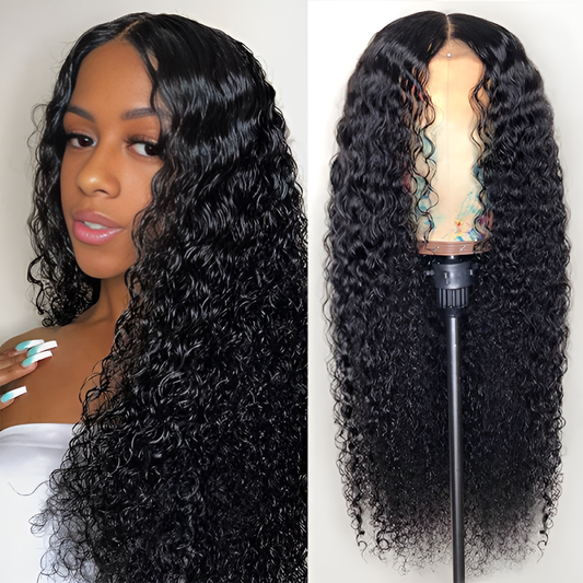 Water Wave Natural Black Closure Wig - 5X5